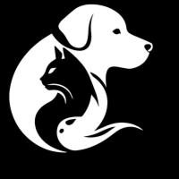 Pets Systems – Smart Pet Care & Premium Pet Accessories
