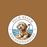 palmbeachgoldendoodles