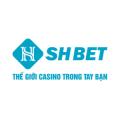 shbethealth1