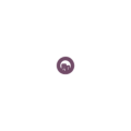 Odoo Companies