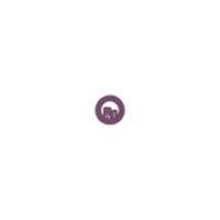 Odoo Companies
