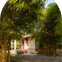 Soulacia Hotel & Resorts