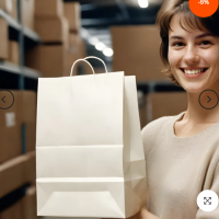 carrybags12