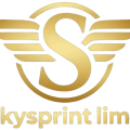 Skysprint Limo Service