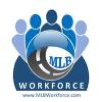 MLB Workforce