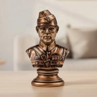 Freedom fighter idols