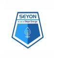 Seyon Steps groups