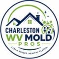charlestonwvmoldpros