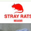 rat girl
