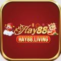 hay88living11