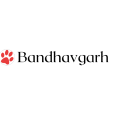 Tiger Safari Bandhavgarh