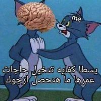 عمروعلى عمورى